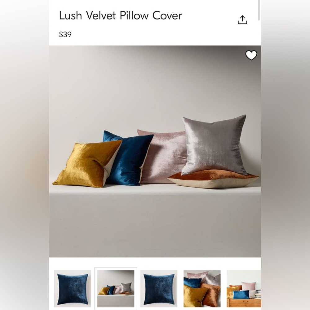 Two Velvet West Elm Pillow Covers